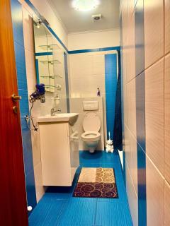 Dodi house - Timişoara - 2