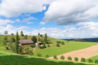 AUSZEIT auf dem BAUERNHOF Heimelige Ferienwohnung für bis zu 4 Personen im Emmental E-Bike Paradies Wandern Erholen - Dürrenroth - 0