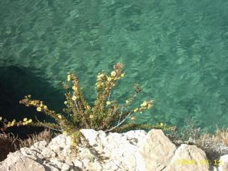 Villa Irene - Arenella - 4