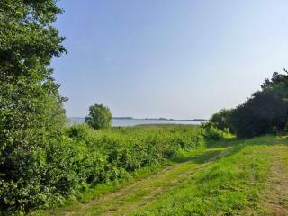 Ferienhaus am Saaler Bodden - Langendamm - 5
