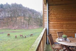 Recreatiedomein Warredal - The Lodge - Neeroeteren - 6