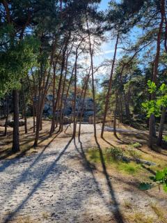 Gîte des Sources-Rumont - - 5
