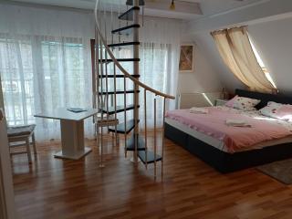 Pension DonauBlick Grein 2 in Stifterstrasse 19A - Grein - 4