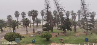 Meeulekker op Lambertsbay - Lambertʼs Bay - 1