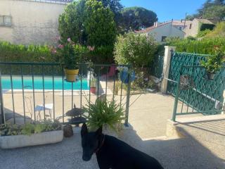 Appartement la calador - Pont-Saint-Esprit - 8