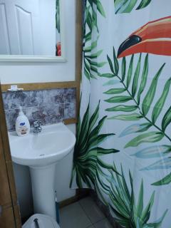 Cabaña amoblada Isla Teja - 2