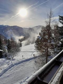 Apartments Pfeffermühle - Kärnten Card im Sommer inklusive - 5