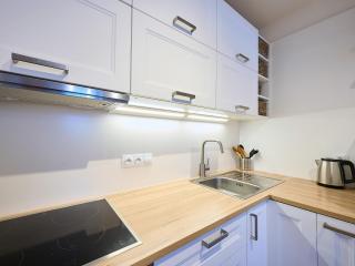 Apartment Hašlerka by Interhome - Janov nad Nisou - 2
