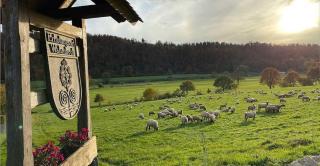 Landhaus Wahmbeck - 2