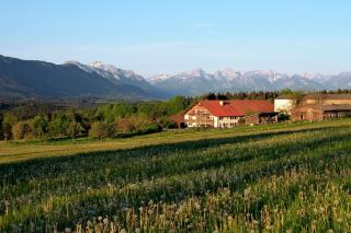 KochHof - Wildsteig - 0
