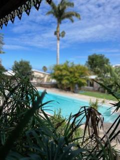Gîte Allamanda 45m2, 2 à 4 Personnes, piscine et jardin tropical - Saint-Leu - 9