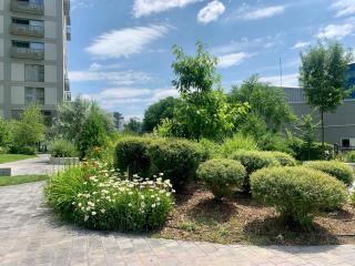 Aviatiei Park with underground parking and security - Bucharest - 9