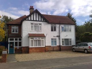 Abbeyfield Guesthouse - Cambridge - 3