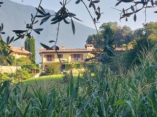 Apt Mountain Spirit, Arco - Arco - 2