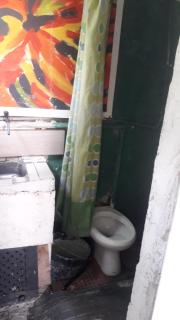 pet barata - 5