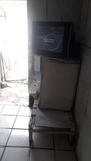pet barata - 3