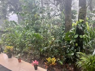 Greenspun homestay - Somvārpet - 5