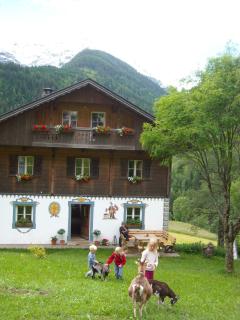 Bauernhof im Wiesengrund - Maria Luggau - 3