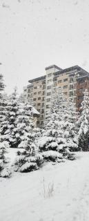 Apartman Planinski Kutak - Zlatibor - 8