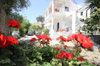 Angeliki Studio & Apartment - 0