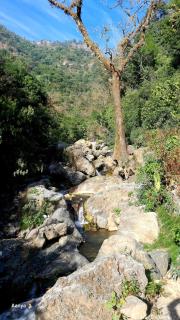 Ashree Stay - Kokliyal Gaon - 8