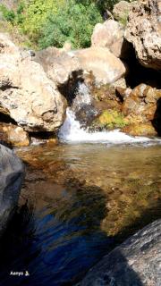 Ashree Stay - Kokliyal Gaon - 1
