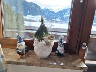 Chalet Anna Appartment - Uttendorf - 2