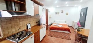 Pensiunea Red Rose Apartments - Timişoara - 3