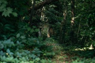 Cabane et Lodge by Lyon Country House - Caluire-et-Cuire - 3