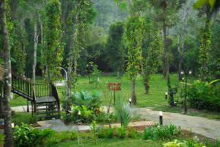 ALLISON the Tribe Resort - Mananthavady - 7