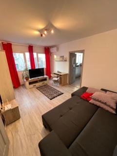 3 rooms apartment Airy & Bright Palas Style - Iaşi - 5