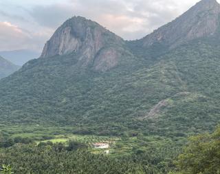 BEYOND GHATTS THIRUMOORTHY HILLs - Dhali - 9