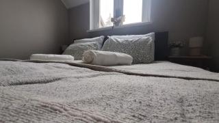 Apartament pod Toruniem - Grębocin - 7