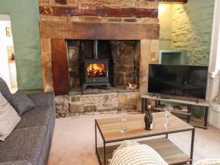 Fell Cottage - Barnard Castle - 6