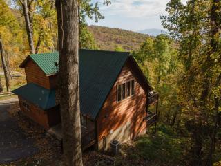 Serene Mountain Retreat by Ghosal Luxury Lodging - 8