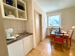 Burggarten Wine Residences - Wein direkt vom Winzer, eBike & eAuto aufladen und parken - Burg - 2