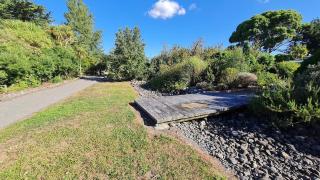 Bidwills Gem - Greytown - 5