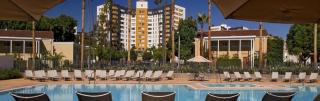 Large Cozy Condo with Beautiful Views near the Grove - Los Angeles - 6