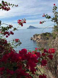 Flaming Topacio - Calpe - 1
