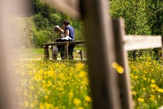 Hotel La Romantica - 4