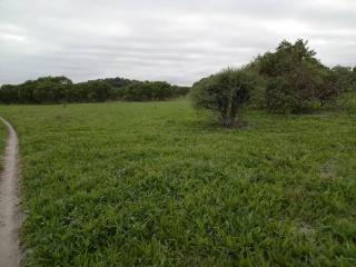 Savuti Mobile Camping Safaris - Kasane - 5