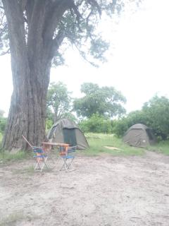 Savuti Mobile Camping Safaris - Kasane - 4