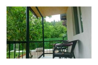 BANI tsikhisdziri - 3