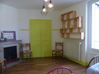 Maison familiale au calme avec jardin clos, proche thermes - FR-1-489-563 - Néris-les-Bains - 2