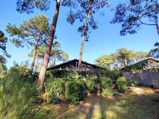 Villa landaise lumineuse avec jardin, proche plages et commerces à Piraillan - FR-1-736-52 - Lège-Cap-Ferret - 7