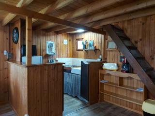 Chalet cosy et romantique avec terrasse en Eure-et-Loir - FR-1-581-148 - Châteaudun - 8