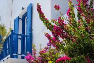 Mykonian Style w Shared Pool Houses 8 & 9 - 5