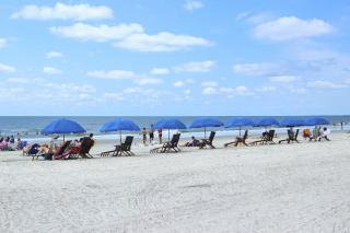 Forest Beach Villas 101 - Hilton Head Island - 7