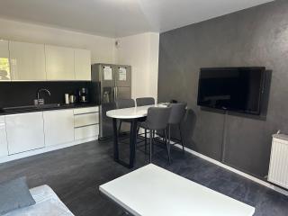 Royal Standing- Terrasse & Parking Privé - Évian-les-Bains - 9