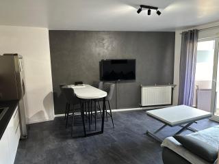 Royal Standing- Terrasse & Parking Privé - Évian-les-Bains - 8